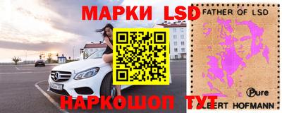 амф Коммунар