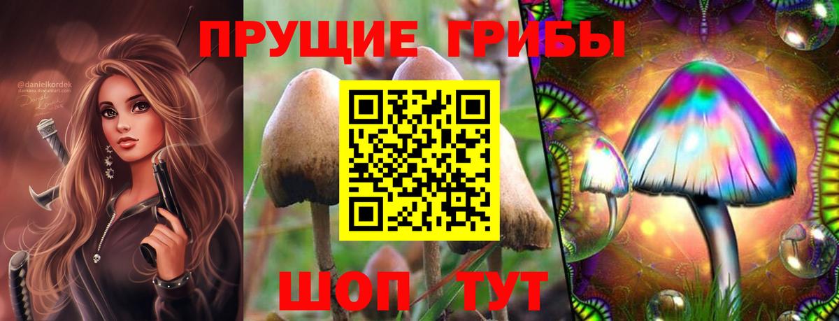 Псилоцибиновые грибы Psilocybine cubensis Красноуфимск