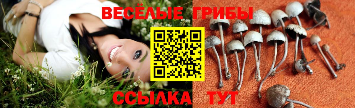 Красноуфимск  Галлюциногенные грибы ЛСД  купить закладку  Псилоцибиновые грибы ЛСД  Вход с VPN 